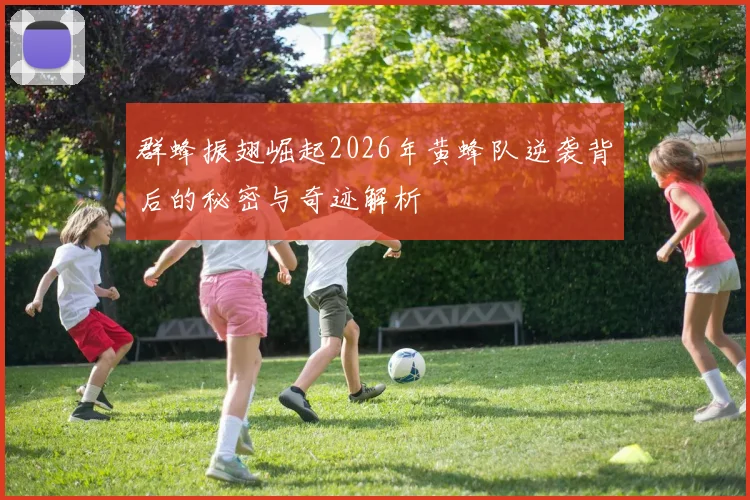 群蜂振翅崛起2026年黄蜂队逆袭背后的秘密与奇迹解析