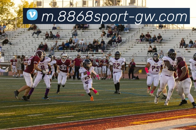 App Interface Preview