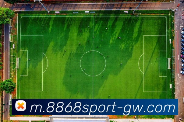 8868体育APP 封面图