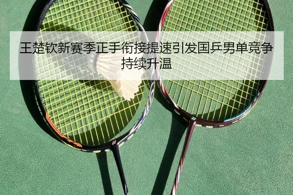 王楚钦新赛季正手衔接提速引发国乒男单竞争持续升温